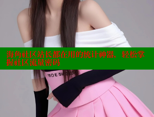 海角社区站长都在用的统计神器，轻松掌握社区流量密码