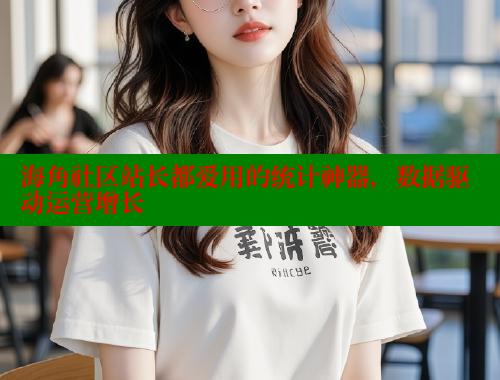 海角社区站长都爱用的统计神器，数据驱动运营增长