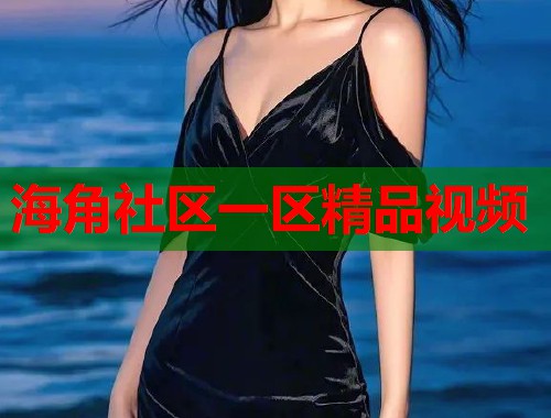 海角社区一区精品视频
