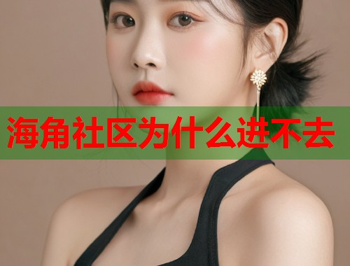 海角社区为什么进不去