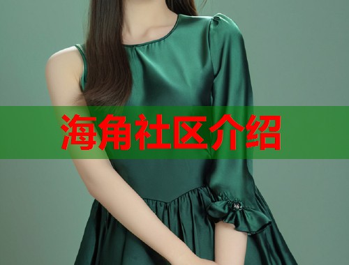 海角社区介绍