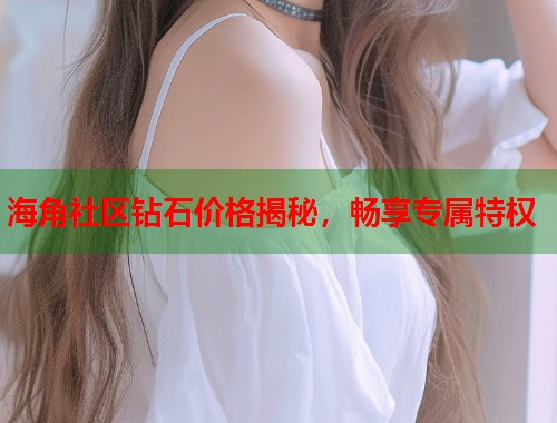 海角社区钻石价格揭秘，畅享专属特权