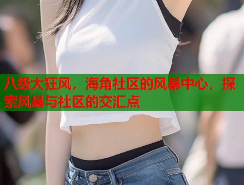八级大狂风，海角社区的风暴中心，探索风暴与社区的交汇点