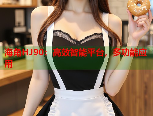 海角HJ90：高效智能平台，多功能应用