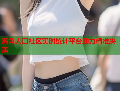 海角人口社区实时统计平台助力精准决策