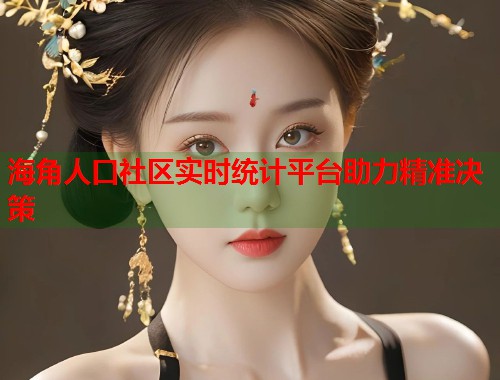 海角人口社区实时统计平台助力精准决策