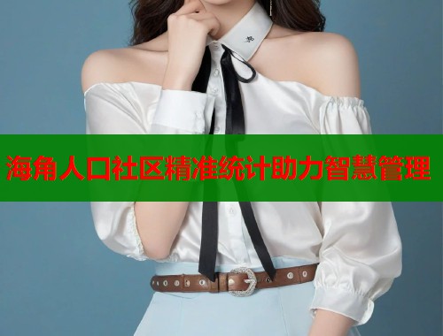 海角人口社区精准统计助力智慧管理