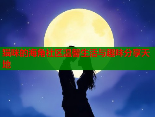 猫咪的海角社区温馨生活与趣味分享天地